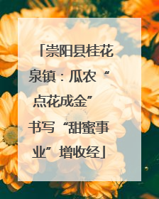 崇阳县桂花泉镇：瓜农“点花成金” 书写“甜蜜事业”增收经