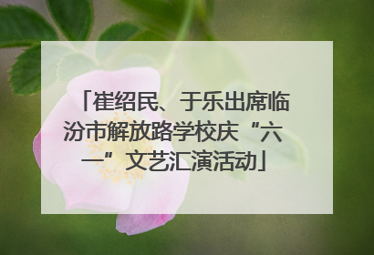 崔绍民、于乐出席临汾市解放路学校庆“六一”文艺汇演活动