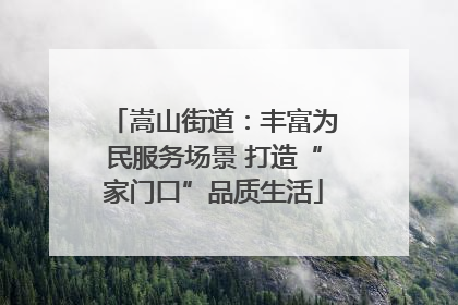 嵩山街道：丰富为民服务场景 打造“家门口”品质生活