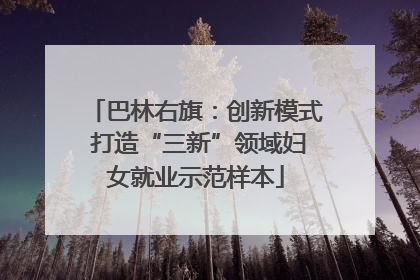 巴林右旗：创新模式 打造“三新”领域妇女就业示范样本