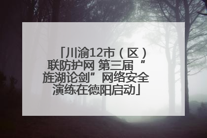 川渝12市（区）联防护网 第三届“旌湖论剑”网络安全演练在德阳启动