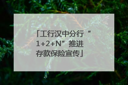 工行汉中分行“1+2+N”推进存款保险宣传