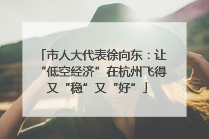 市人大代表徐向东：让“低空经济”在杭州飞得又“稳”又“好”