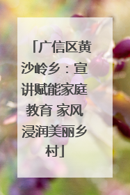 广信区黄沙岭乡：宣讲赋能家庭教育 家风浸润美丽乡村