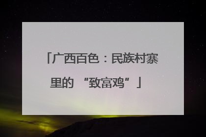 广西百色：民族村寨里的 “致富鸡”