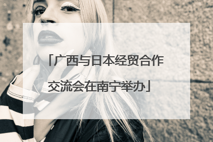 广西与日本经贸合作交流会在南宁举办