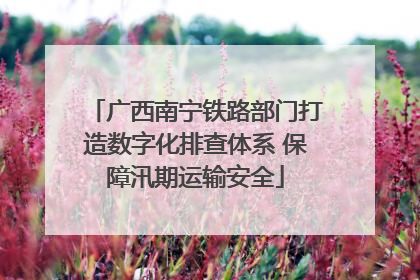 广西南宁铁路部门打造数字化排查体系 保障汛期运输安全