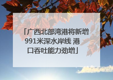 广西北部湾港将新增991米深水岸线 港口吞吐能力劲增