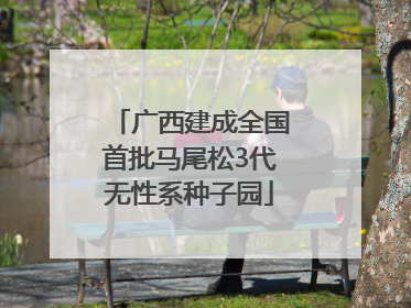 广西建成全国首批马尾松3代无性系种子园