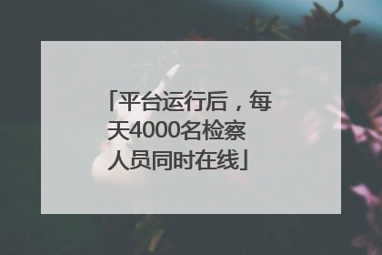 平台运行后，每天4000名检察人员同时在线