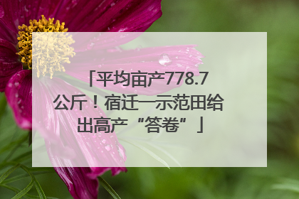 平均亩产778.7公斤！宿迁一示范田给出高产“答卷”