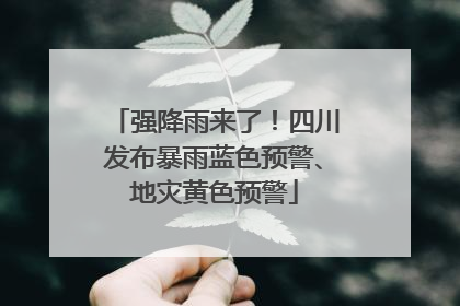 强降雨来了！四川发布暴雨蓝色预警、地灾黄色预警