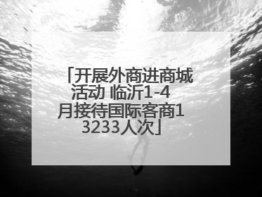 开展外商进商城活动 临沂1-4月接待国际客商13233人次