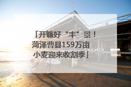 开镰好“丰”景！菏泽曹县159万亩小麦迎来收割季