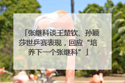 张继科谈王楚钦、孙颖莎世乒赛表现，回应“培养下一个张继科”