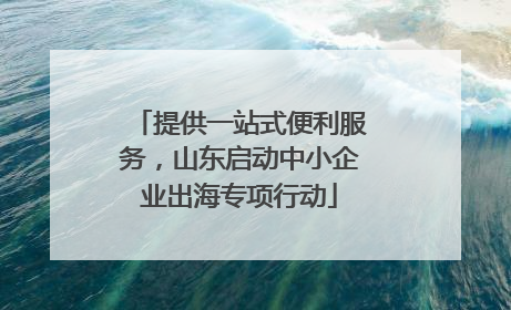 提供一站式便利服务，山东启动中小企业出海专项行动