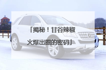 揭秘！甘谷辣椒火爆出圈的密码