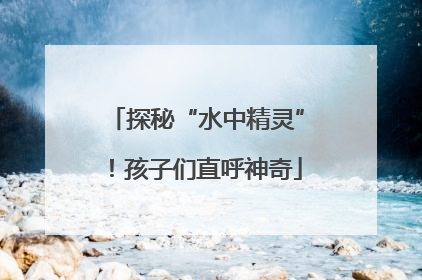 探秘“水中精灵”！孩子们直呼神奇