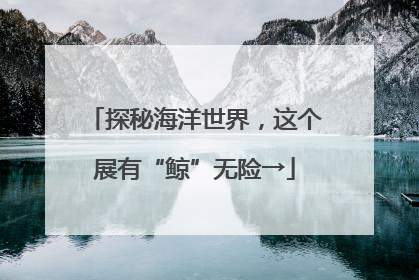 探秘海洋世界，这个展有“鲸”无险→