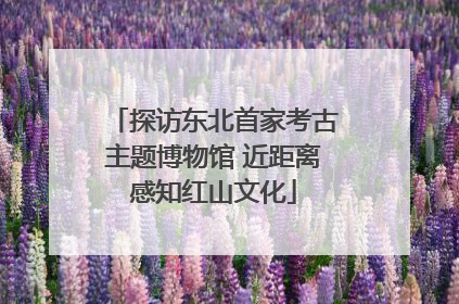 探访东北首家考古主题博物馆 近距离感知红山文化