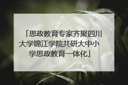 思政教育专家齐聚四川大学锦江学院共研大中小学思政教育一体化