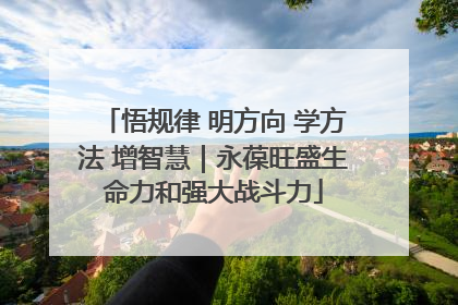 悟规律 明方向 学方法 增智慧｜永葆旺盛生命力和强大战斗力