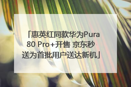 惠英红同款华为Pura 80 Pro+开售 京东秒送为首批用户送达新机