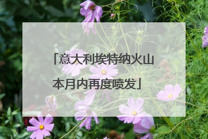 意大利埃特纳火山本月内再度喷发