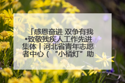 感恩奋进 双争有我•致敬残疾人工作先进集体丨河北省青年志愿者中心（“小橘灯”助残接力计划实施团队）：用温暖陪伴，守护特殊孩子成长
