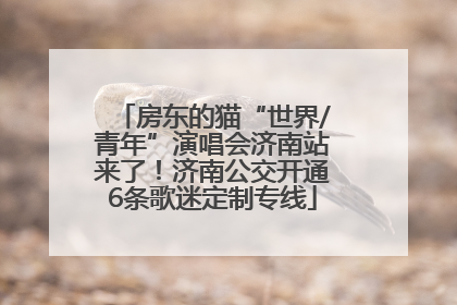 房东的猫“世界/青年”演唱会济南站来了！济南公交开通6条歌迷定制专线