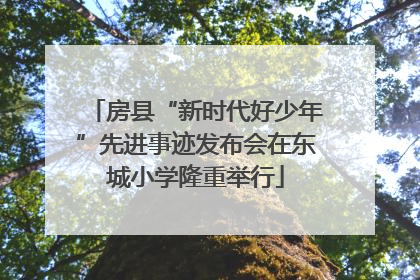 房县“新时代好少年”先进事迹发布会在东城小学隆重举行