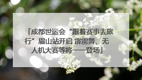 成都世运会“跟着赛事去旅行”眉山站开启 霹雳舞、无人机大赛等将一一登场