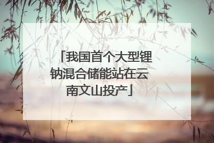 我国首个大型锂钠混合储能站在云南文山投产