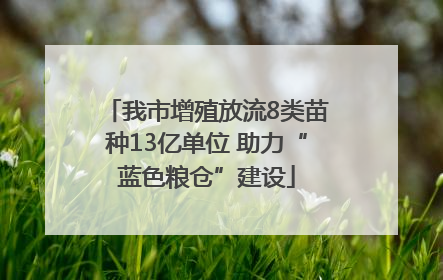 我市增殖放流8类苗种13亿单位 助力“蓝色粮仓”建设