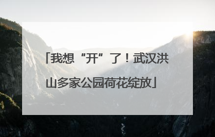 我想“开”了！武汉洪山多家公园荷花绽放