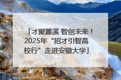 才聚濉溪 智创未来！2025年“招才引智高校行”走进安徽大学