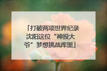 打破两项世界纪录 沈阳这位“神投大爷”梦想挑战库里