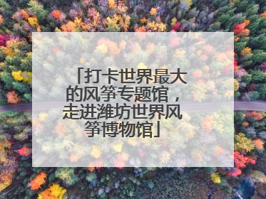 打卡世界最大的风筝专题馆，走进潍坊世界风筝博物馆
