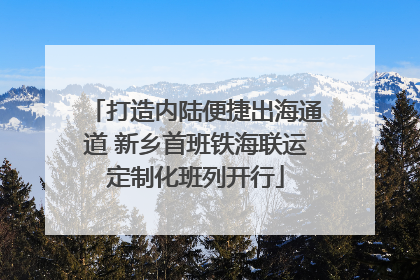 打造内陆便捷出海通道 新乡首班铁海联运定制化班列开行