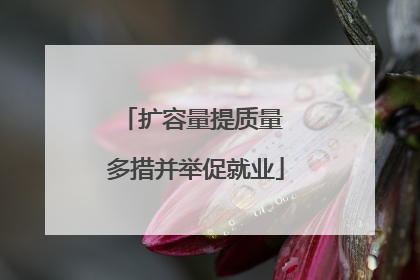 扩容量提质量 多措并举促就业