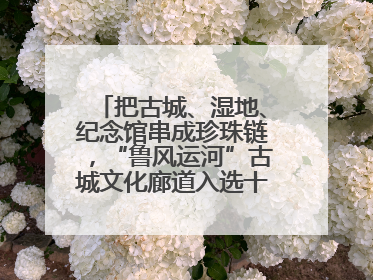 把古城、湿地、纪念馆串成珍珠链，“鲁风运河”古城文化廊道入选十大最美农村路