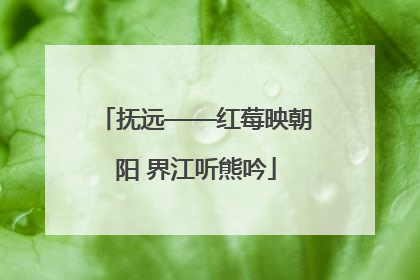 抚远——红莓映朝阳 界江听熊吟