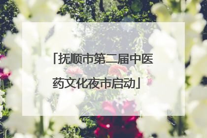 抚顺市第二届中医药文化夜市启动
