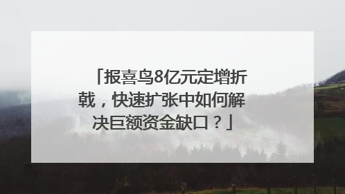 报喜鸟8亿元定增折戟，快速扩张中如何解决巨额资金缺口？