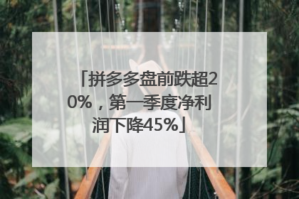 拼多多盘前跌超20%，第一季度净利润下降45%
