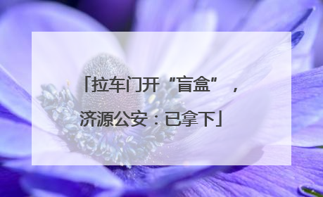 拉车门开“盲盒”，济源公安：已拿下