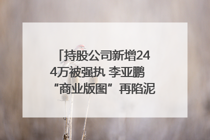 持股公司新增244万被强执 李亚鹏“商业版图”再陷泥潭？｜科技观察