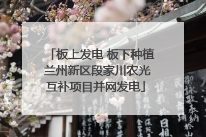 板上发电 板下种植 兰州新区段家川农光互补项目并网发电
