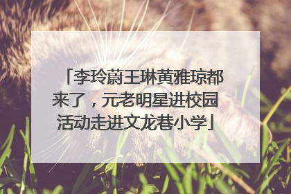 李玲蔚王琳黄雅琼都来了，元老明星进校园活动走进文龙巷小学