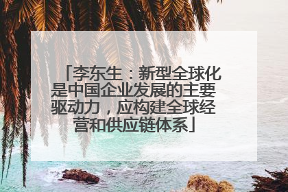 李东生：新型全球化是中国企业发展的主要驱动力，应构建全球经营和供应链体系